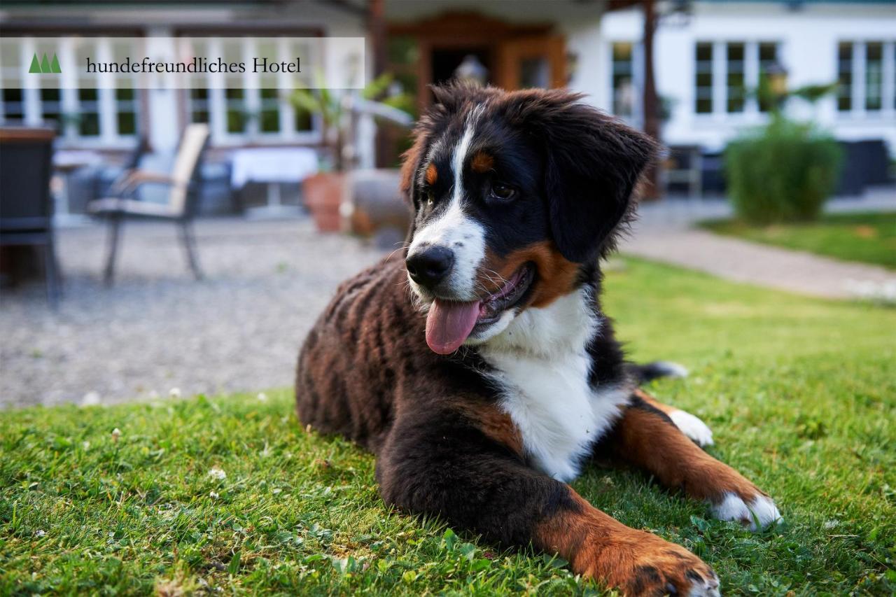 Hotel Waldrand Lenk im Simmental Exterior foto